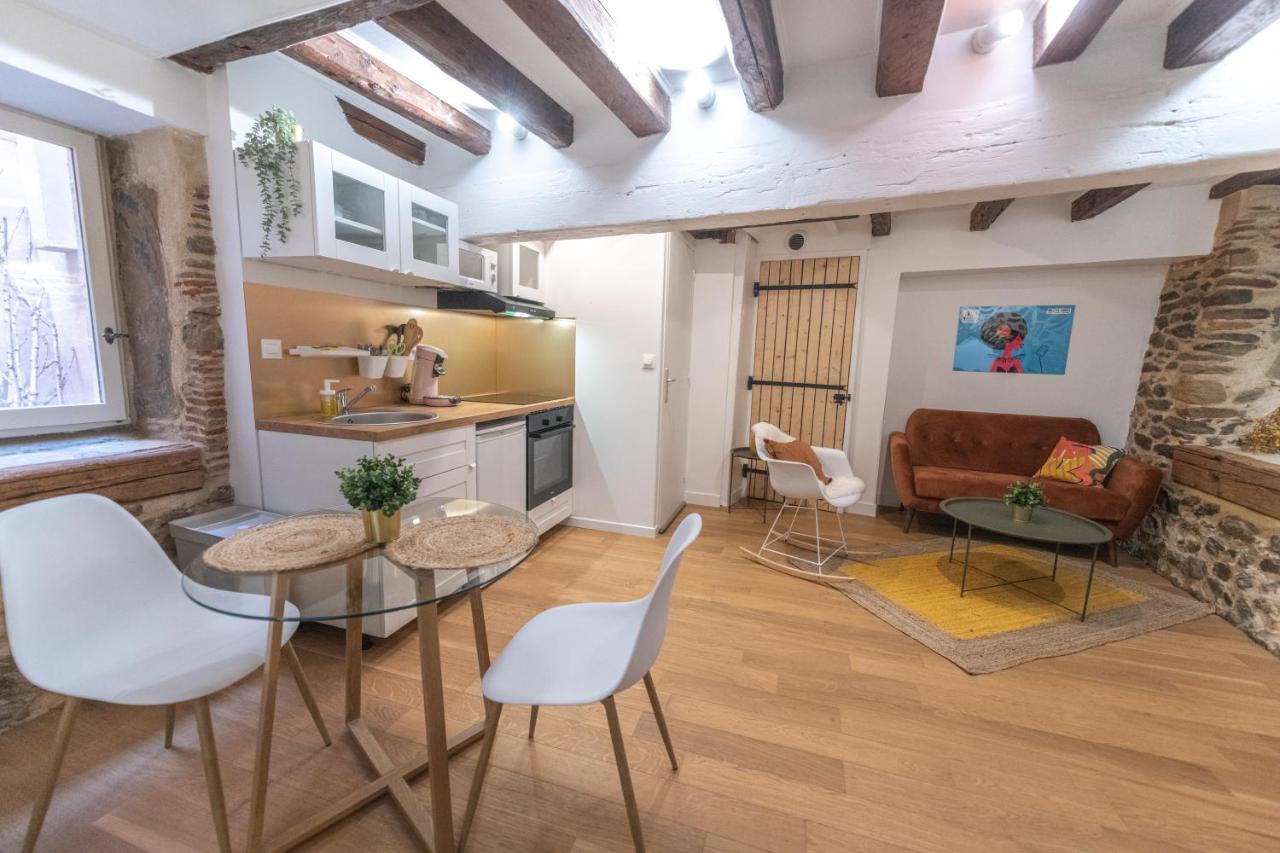 Cosylocation - Chaleureux - Hypercentre Appartement Vienne  Buitenkant foto